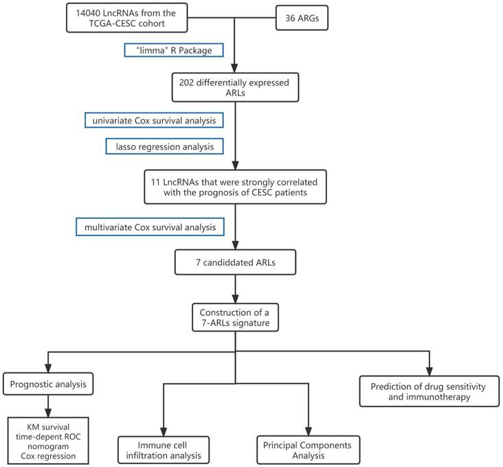 J Cancer Image