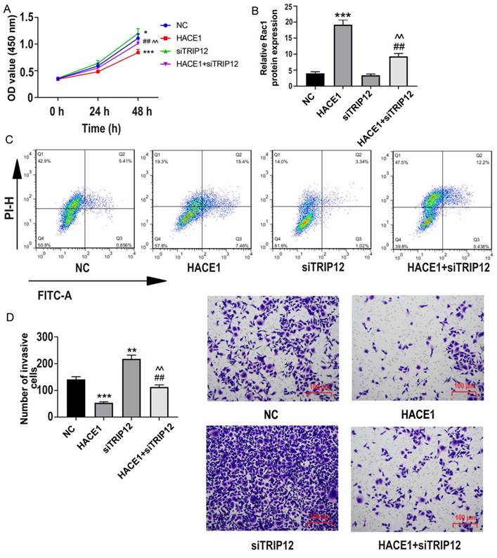 J Cancer Image