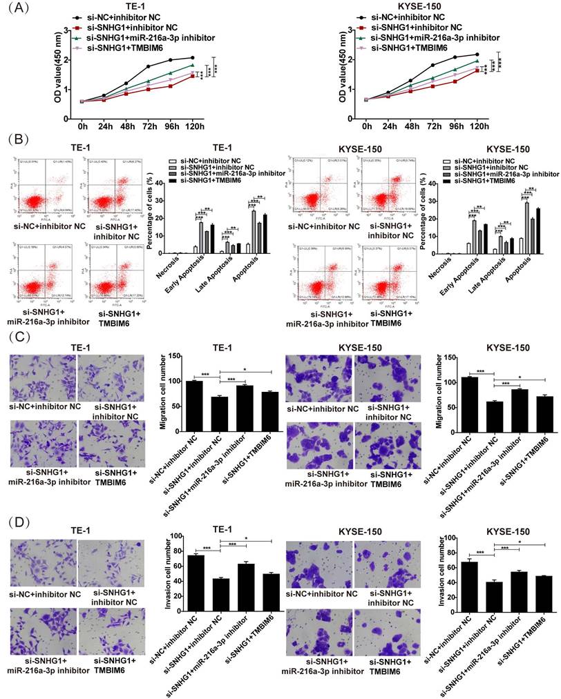 J Cancer Image