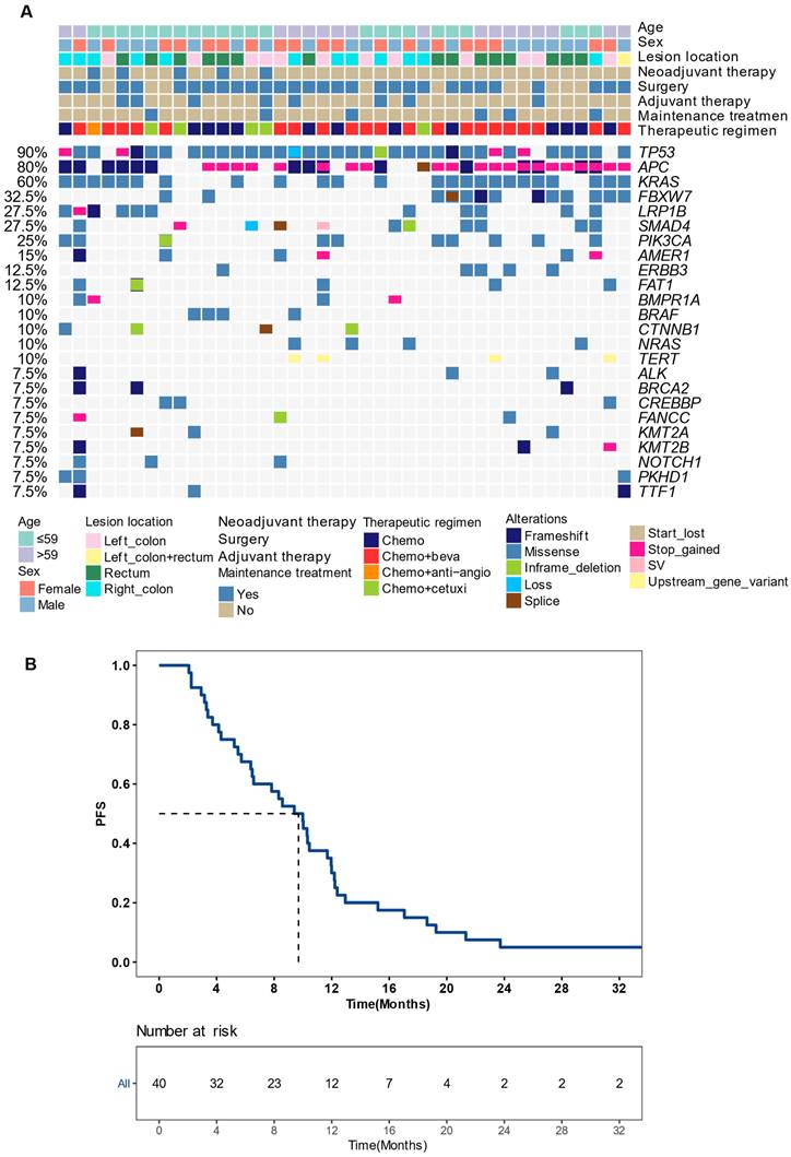 J Cancer Image