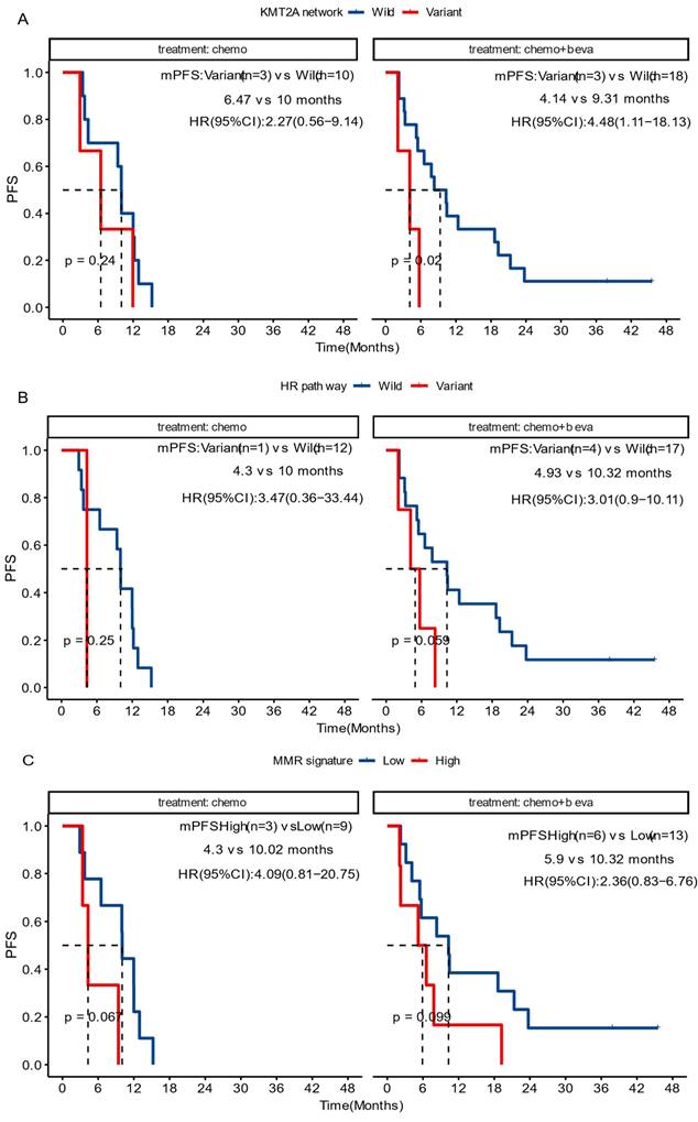 J Cancer Image