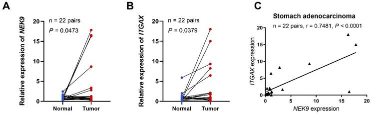 J Cancer Image