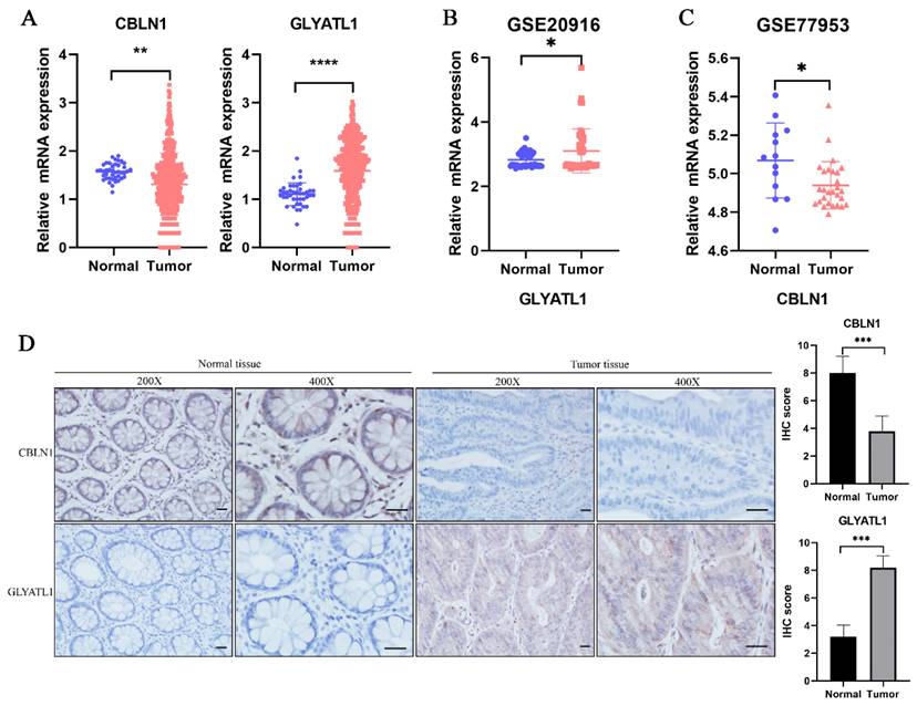 J Cancer Image