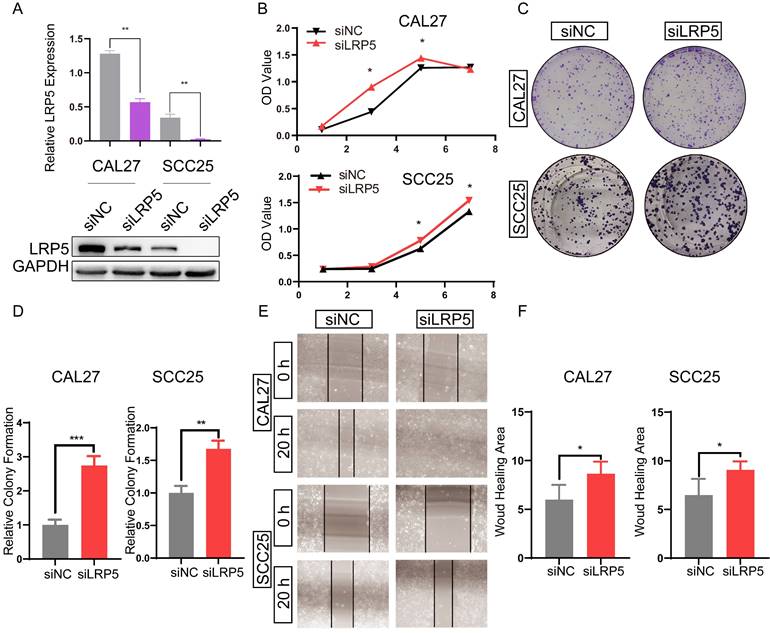 J Cancer Image