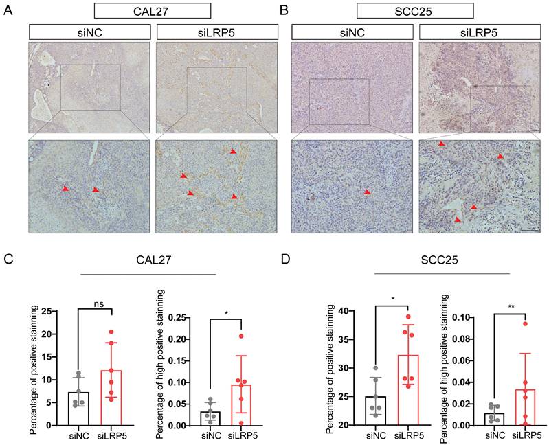 J Cancer Image