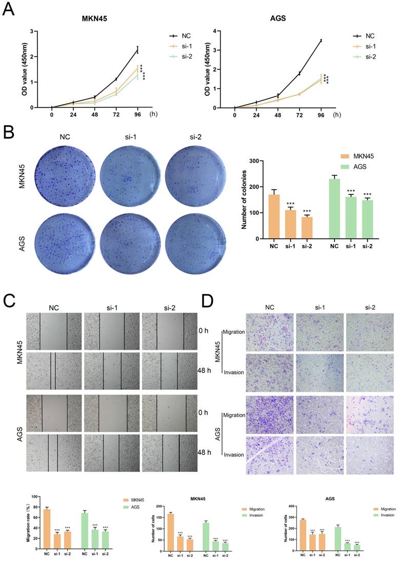 J Cancer Image