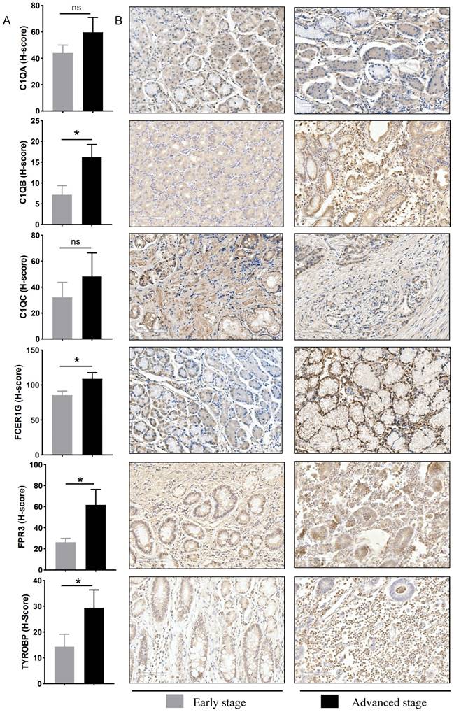 J Cancer Image