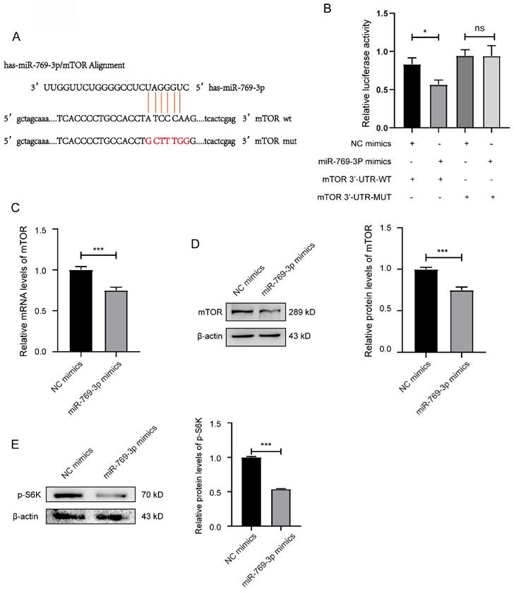 J Cancer Image