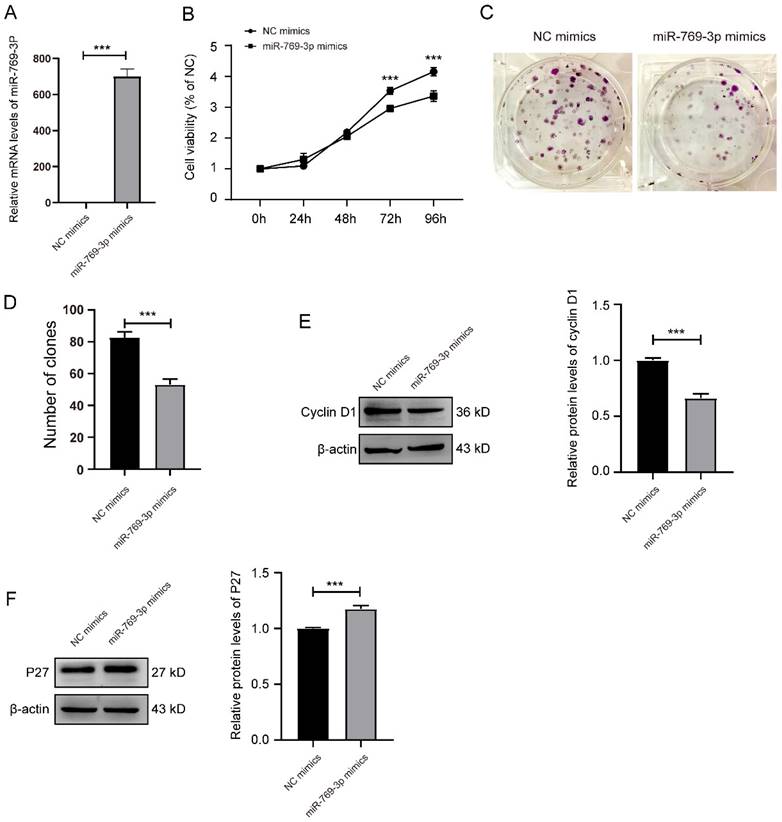 J Cancer Image