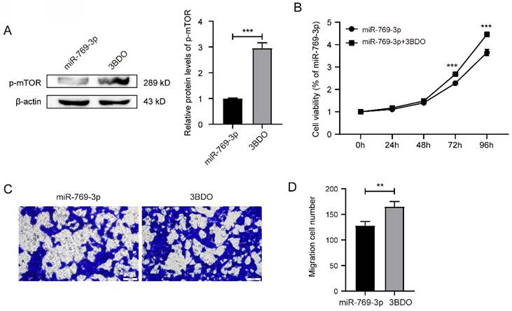 J Cancer Image