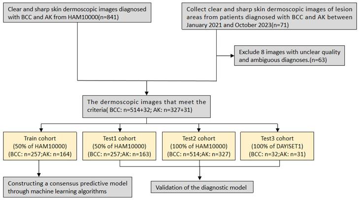 J Cancer Image