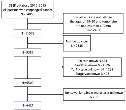 J Cancer Image