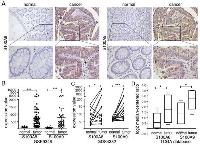 J Cancer Image