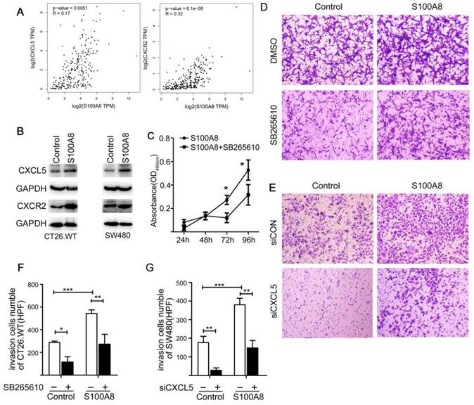 J Cancer Image