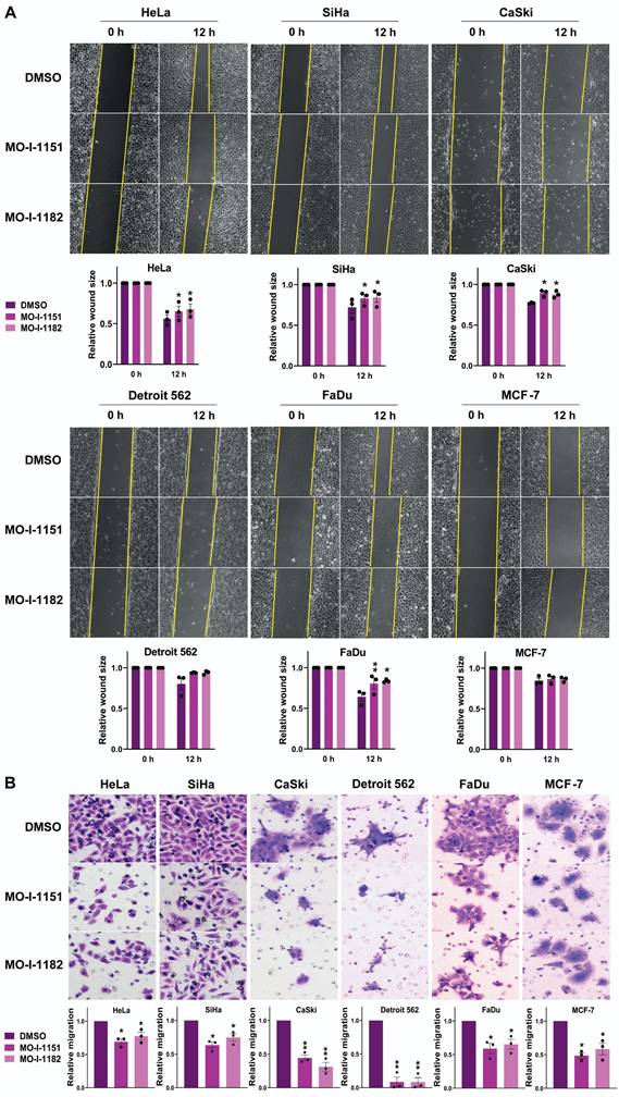 J Cancer Image