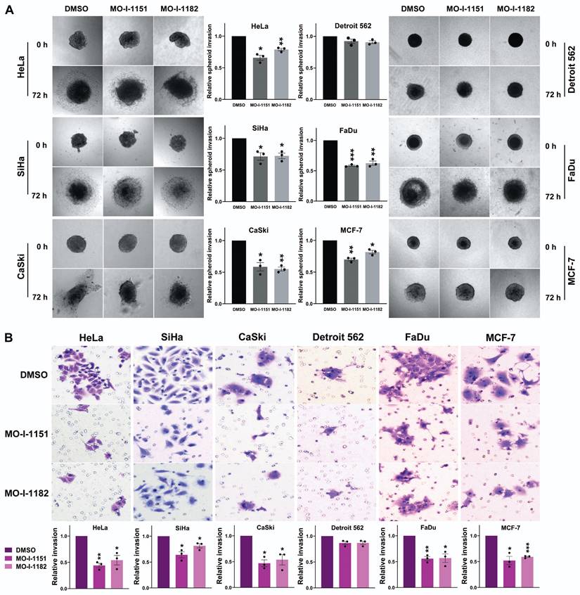 J Cancer Image