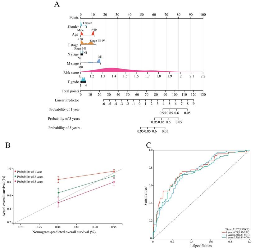 J Cancer Image