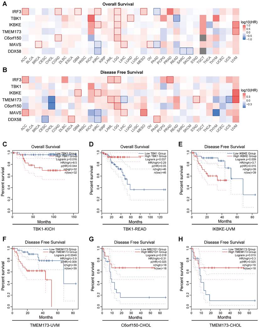 J Cancer Image