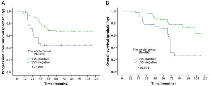 Progression Of Ovarian Cancer Chart