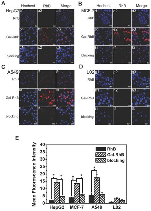 J Cancer Image