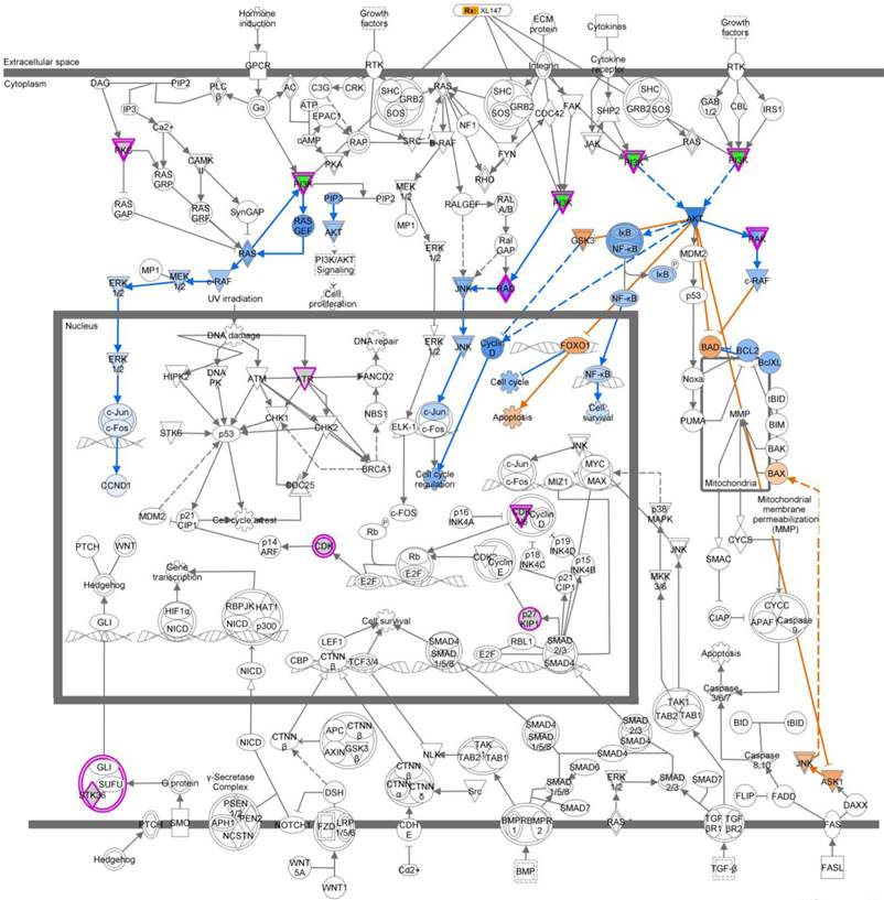 J Cancer Image