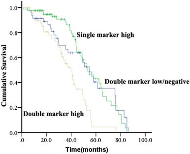 J Cancer Image