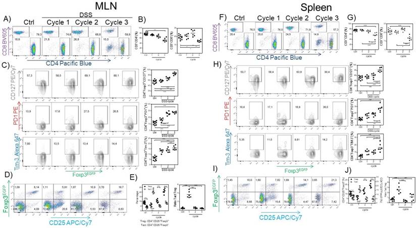 Early and Partial Reduction in CD4+Foxp3+ Regulatory T Cells during ...