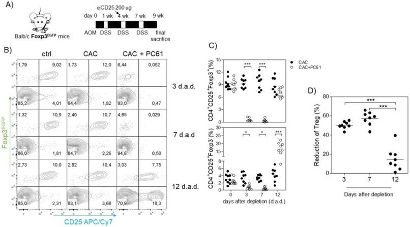 Early and Partial Reduction in CD4+Foxp3+ Regulatory T Cells during ...