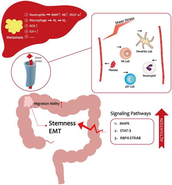 A comprehensive look at the role of hyperlipidemia in ...