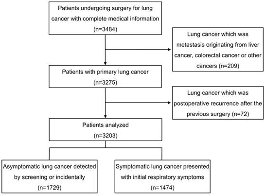 Pathophysiology Of Lung Cancer In Flow Chart