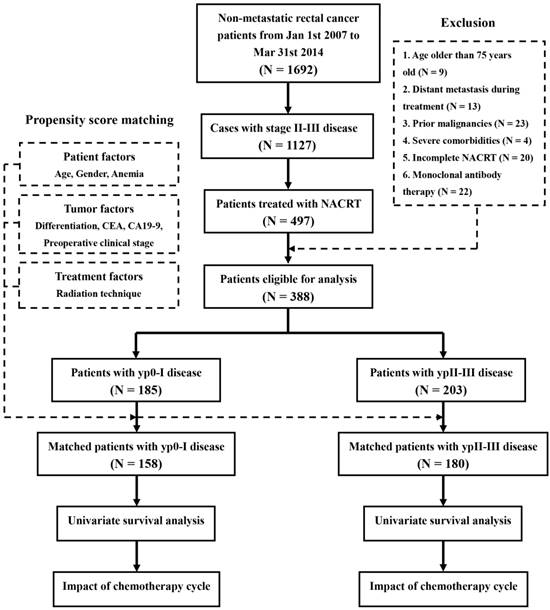 J Cancer Image