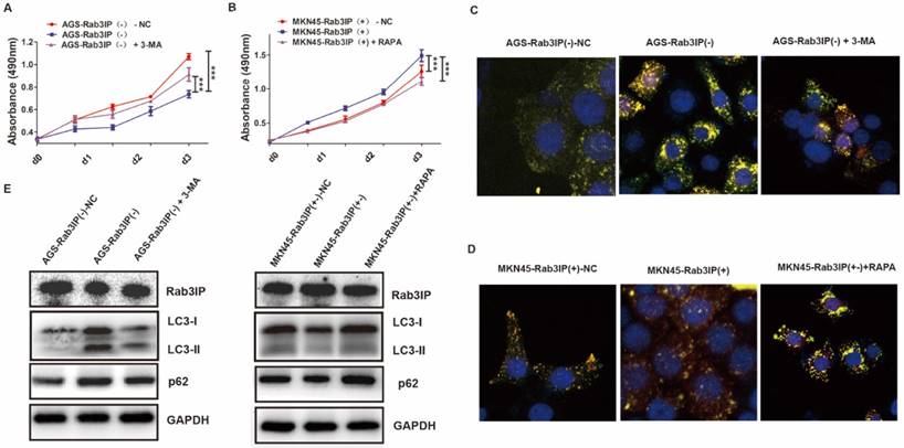 J Cancer Image