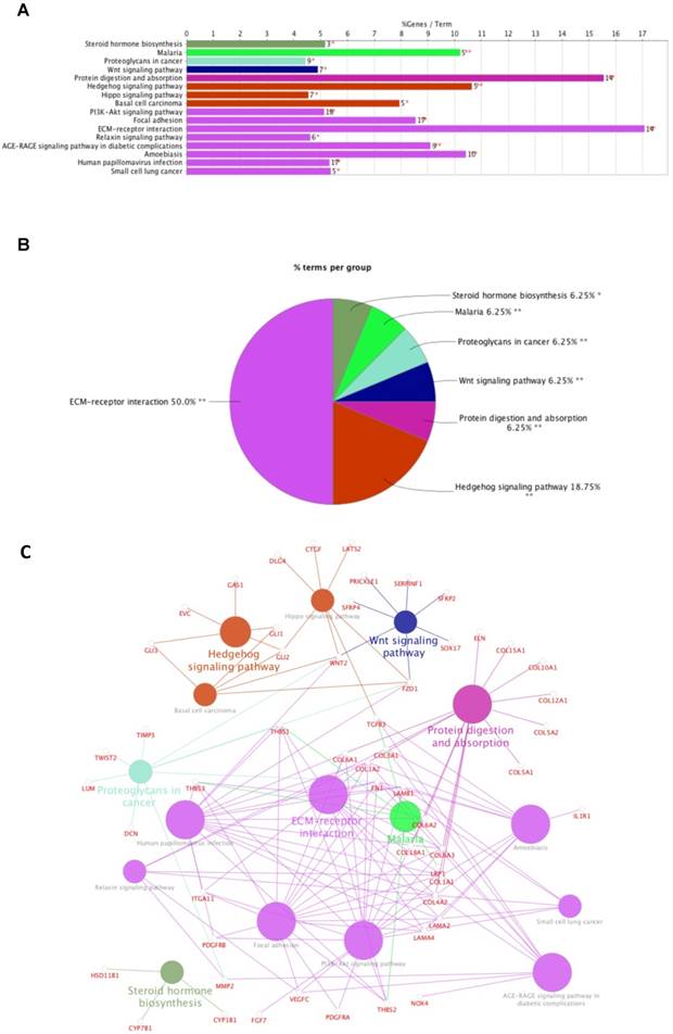Overexpression of FNDC1 in Gastric Cancer and its Prognostic Significance