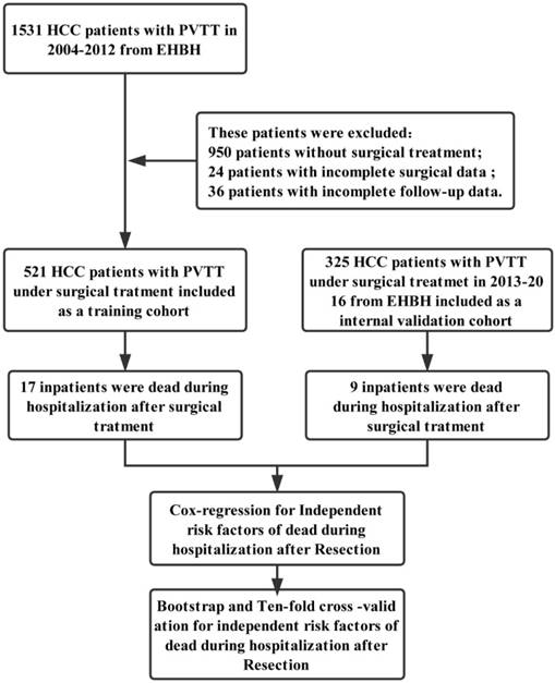 Hcc On Medical Chart