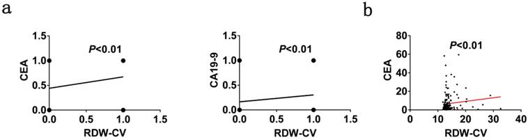 Combining Red Blood Cell Distribution Width Rdw Cv And Cea