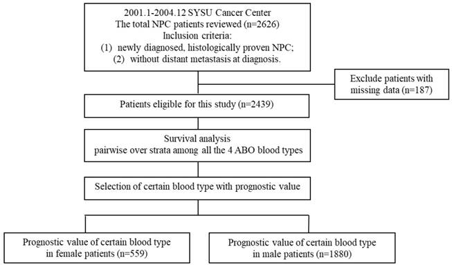 Blood Group Flow Chart