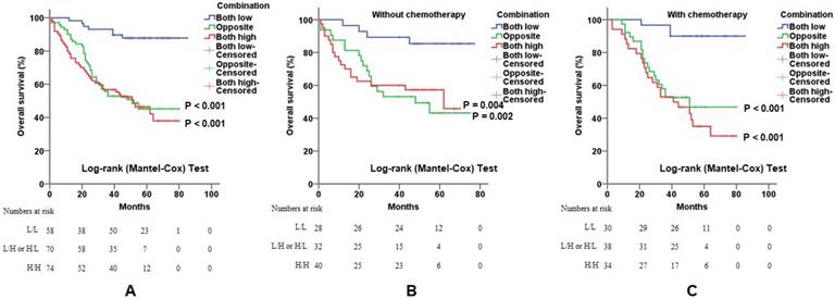 C Myb And Its Effector Cox 2 As An Indicator Associated With Prognosis And Therapeutic Outcome In Colorectal Cancer