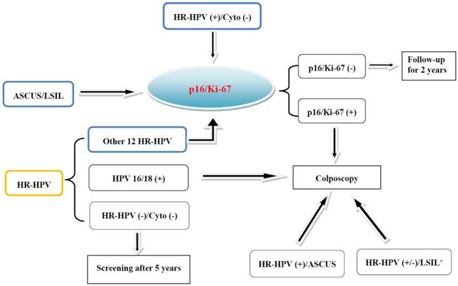 hpv hr negatív