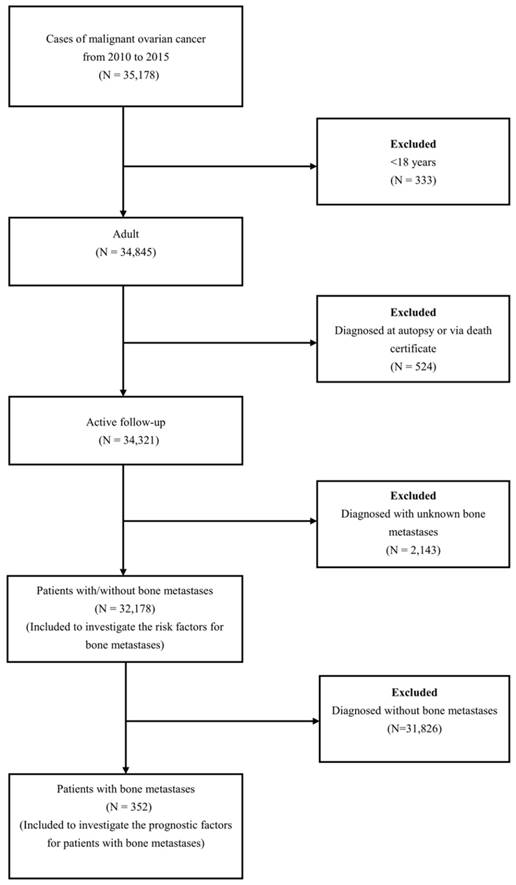 Pathophysiology Of Ovarian Cancer In Flow Chart