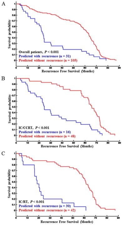 J Cancer Image