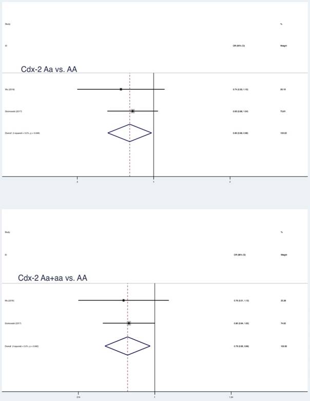 Seco Material Group Chart