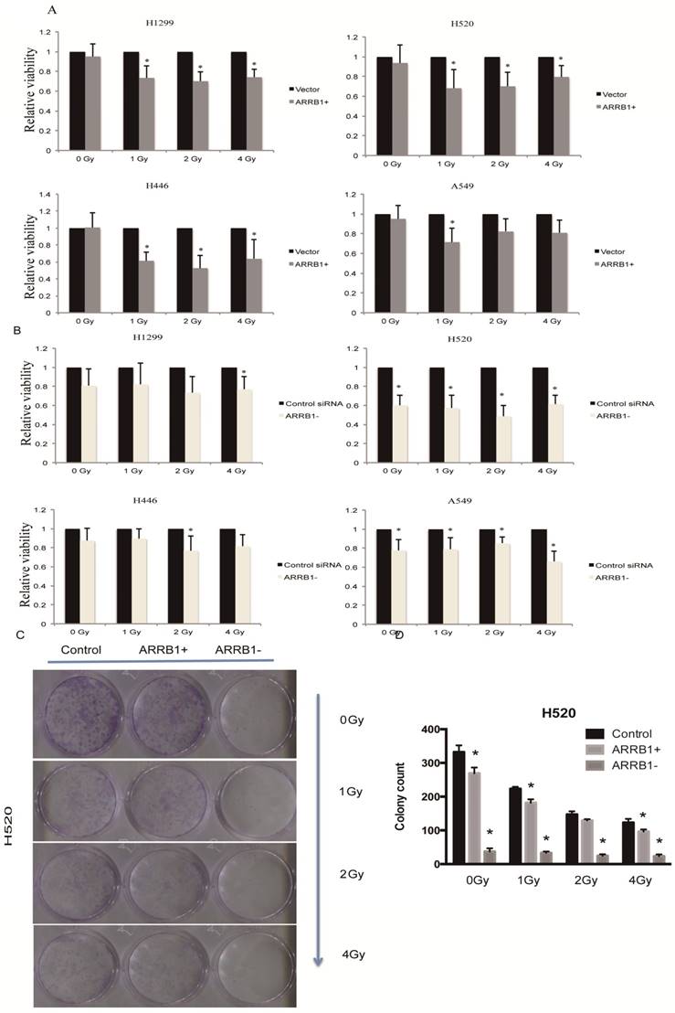 Regulation of response to radiotherapy by β-arrestin1 in Non-small cell