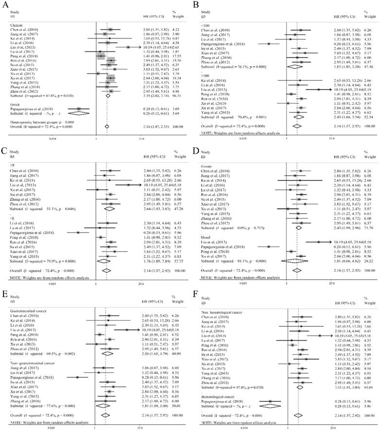 Sixteen 47 Size Chart