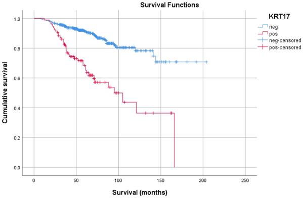 J Cancer Image