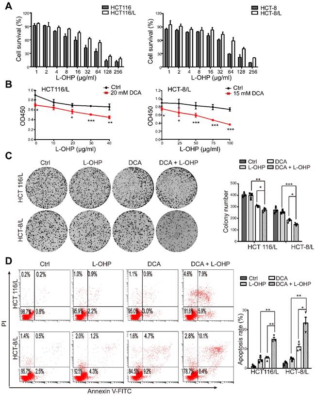 Dichloroacetate Overcomes Oxaliplatin Chemoresistance In Colorectal Cancer Through The Mir 543 Pten Akt Mtor Pathway