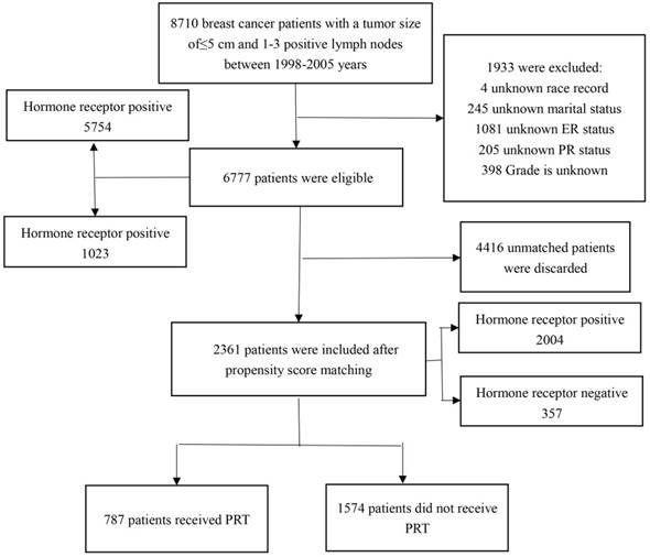 Breast Cancer Tumor Size Chart