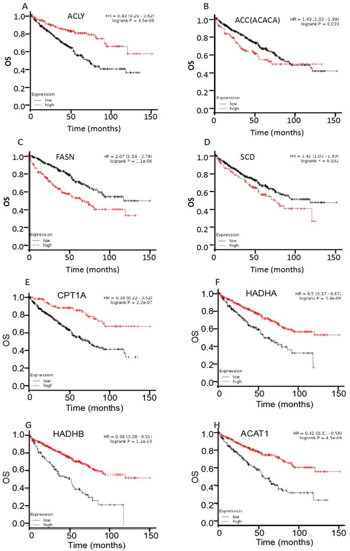 J Cancer Image