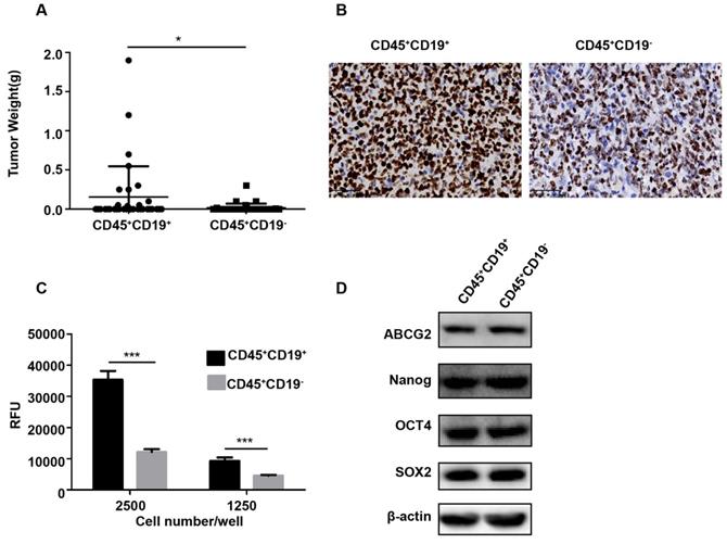 J Cancer Image