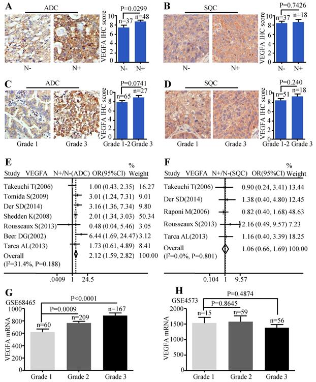 J Cancer Image
