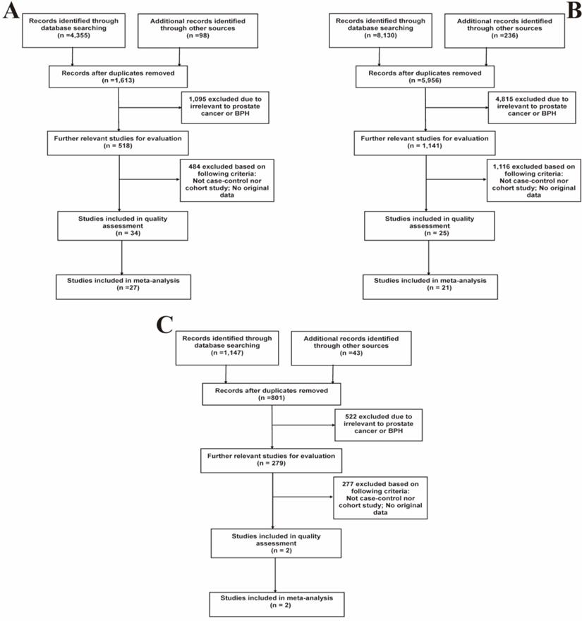 prostatitis tx